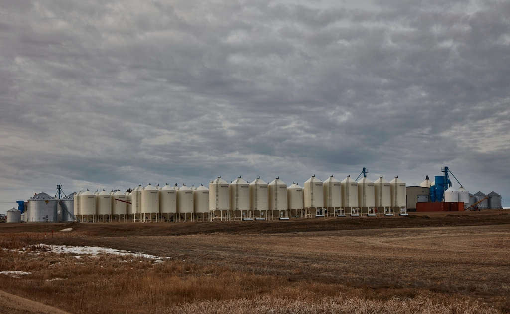 Grain silos at a commodity storage facility